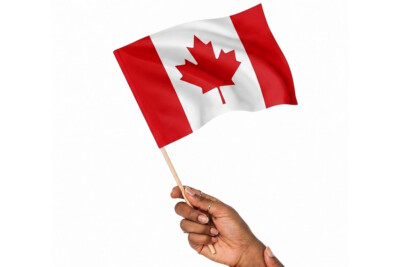 Polyester Stick Flag